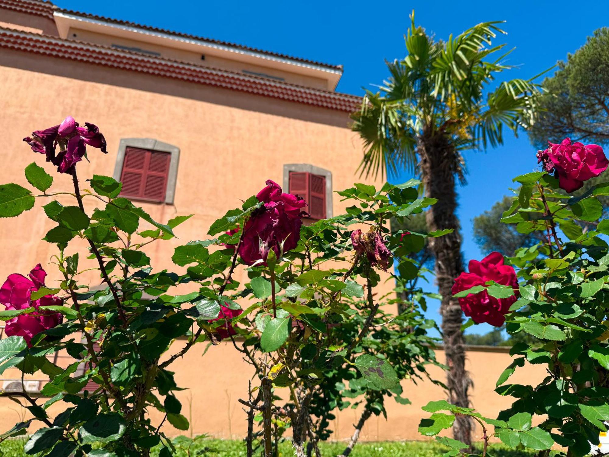 Villa Due Leoni - Casa Per Ferie — Foto 3